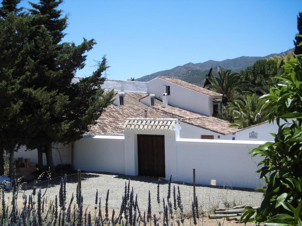 Cortijo Don Rodrigo Holiday home *